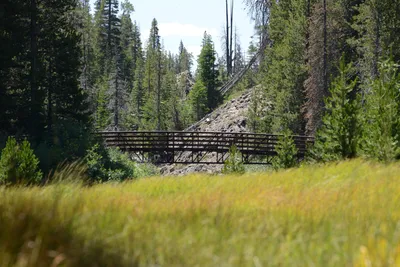 DSC_3650 (Large).JPG